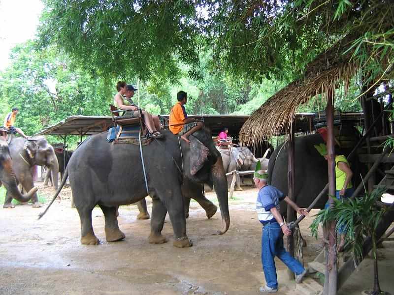 Thailand (217)